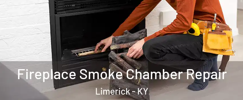 Fireplace Smoke Chamber Repair Limerick - KY