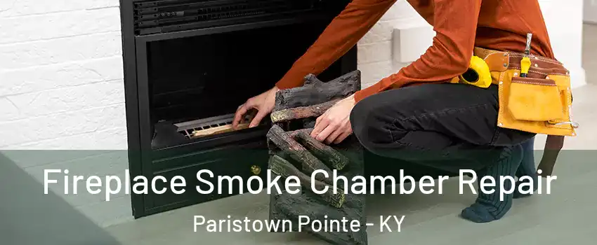 Fireplace Smoke Chamber Repair Paristown Pointe - KY