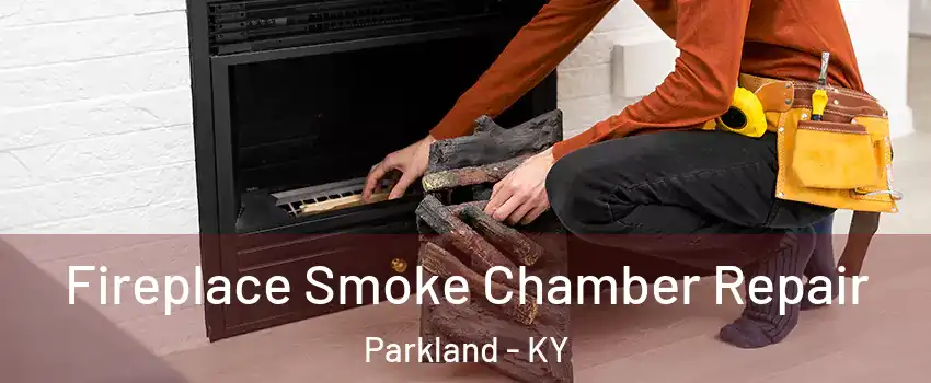 Fireplace Smoke Chamber Repair Parkland - KY