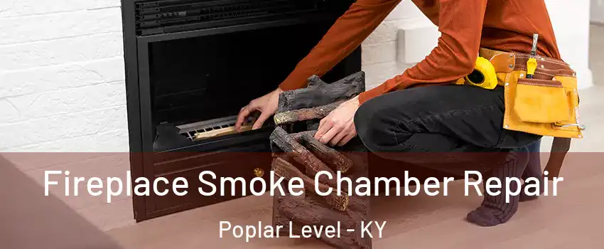 Fireplace Smoke Chamber Repair Poplar Level - KY