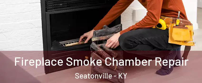 Fireplace Smoke Chamber Repair Seatonville - KY