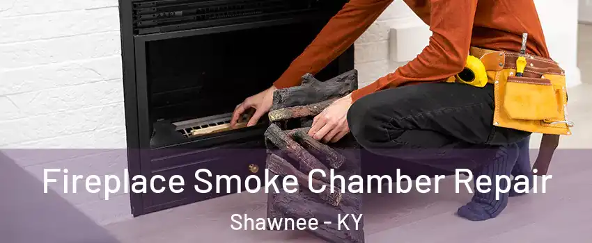 Fireplace Smoke Chamber Repair Shawnee - KY