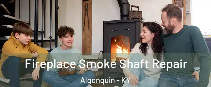 Fireplace Smoke Shaft Repair Algonquin - KY