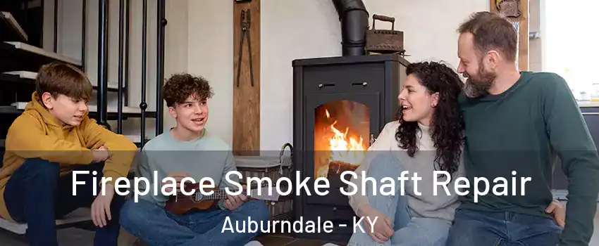 Fireplace Smoke Shaft Repair Auburndale - KY