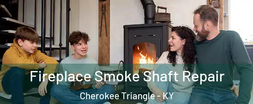 Fireplace Smoke Shaft Repair Cherokee Triangle - KY