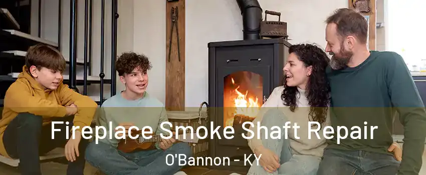 Fireplace Smoke Shaft Repair O'Bannon - KY