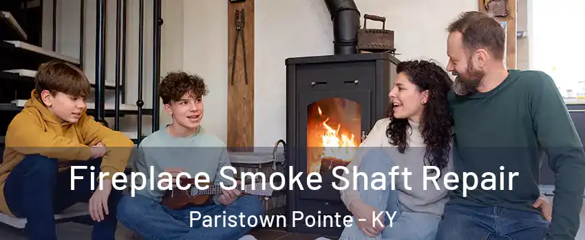 Fireplace Smoke Shaft Repair Paristown Pointe - KY