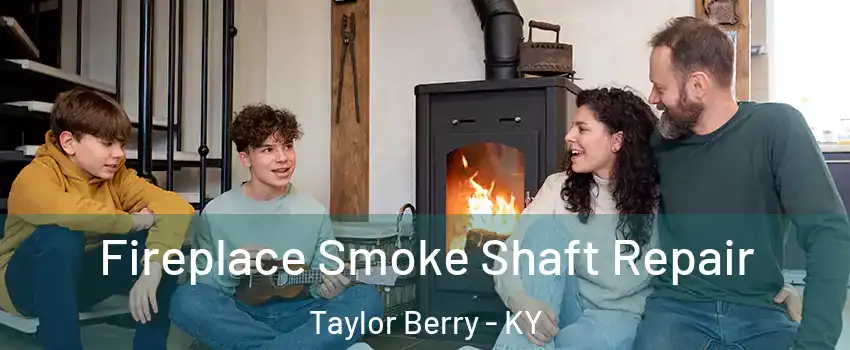 Fireplace Smoke Shaft Repair Taylor Berry - KY