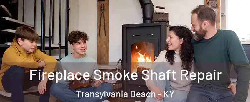 Fireplace Smoke Shaft Repair Transylvania Beach - KY