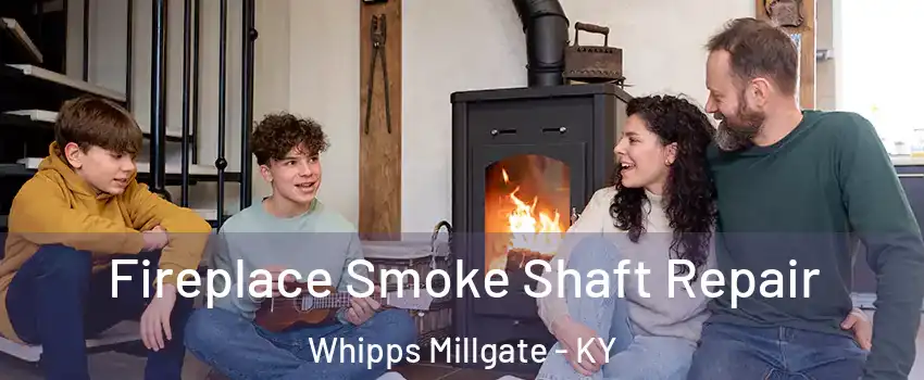 Fireplace Smoke Shaft Repair Whipps Millgate - KY