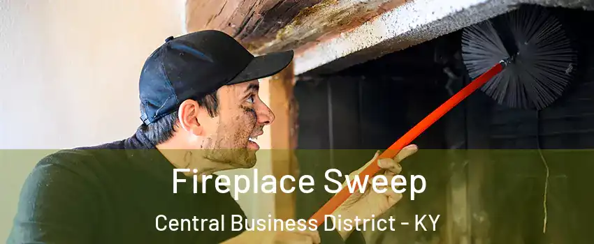 Fireplace Sweep Central Business District - KY
