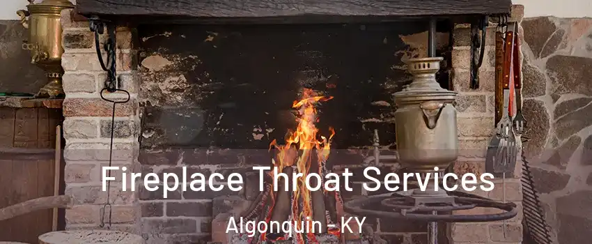 Fireplace Throat Services Algonquin - KY