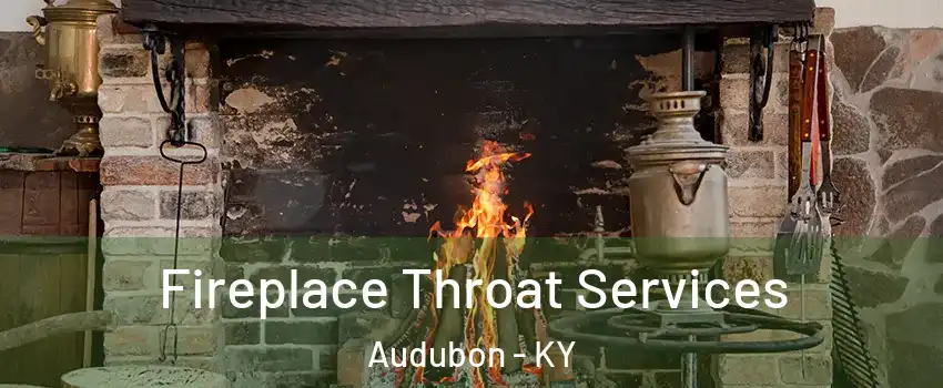 Fireplace Throat Services Audubon - KY