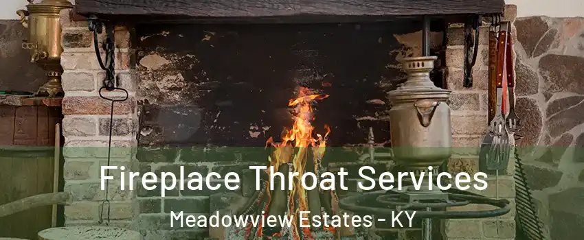 Fireplace Throat Services Meadowview Estates - KY