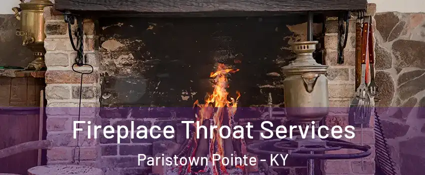 Fireplace Throat Services Paristown Pointe - KY