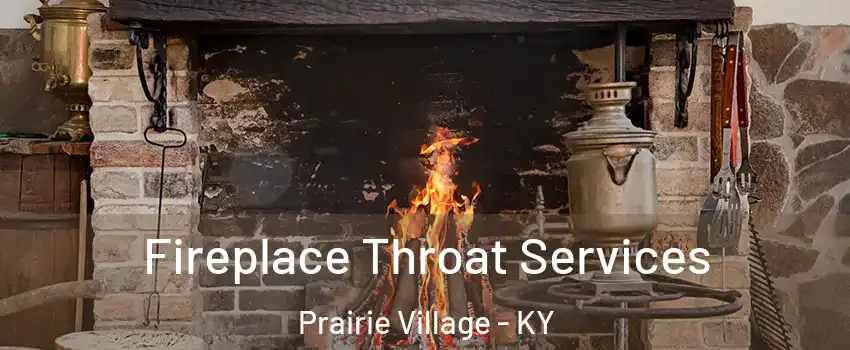 Fireplace Throat Services Prairie Village - KY