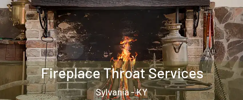Fireplace Throat Services Sylvania - KY
