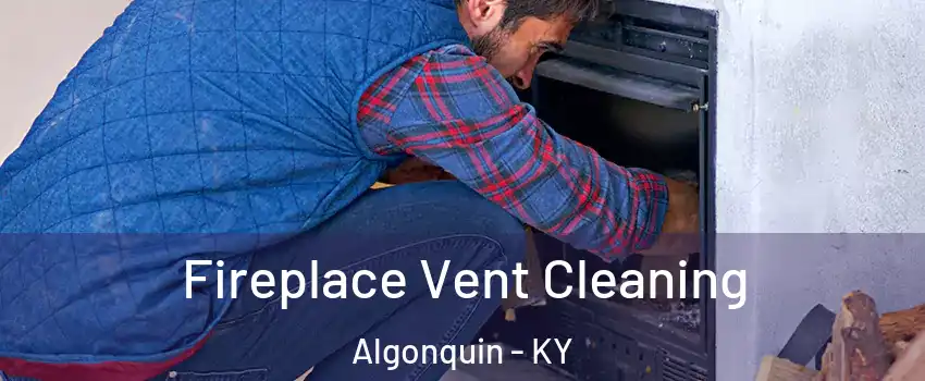 Fireplace Vent Cleaning Algonquin - KY