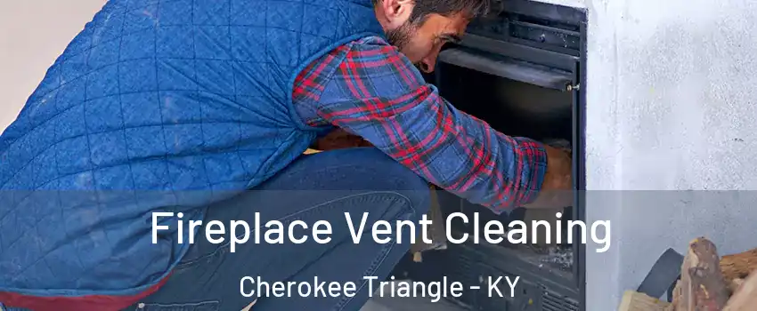Fireplace Vent Cleaning Cherokee Triangle - KY