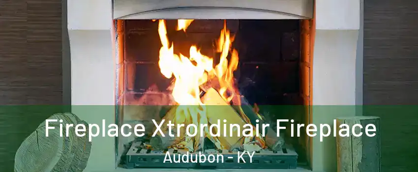 Fireplace Xtrordinair Fireplace Audubon - KY