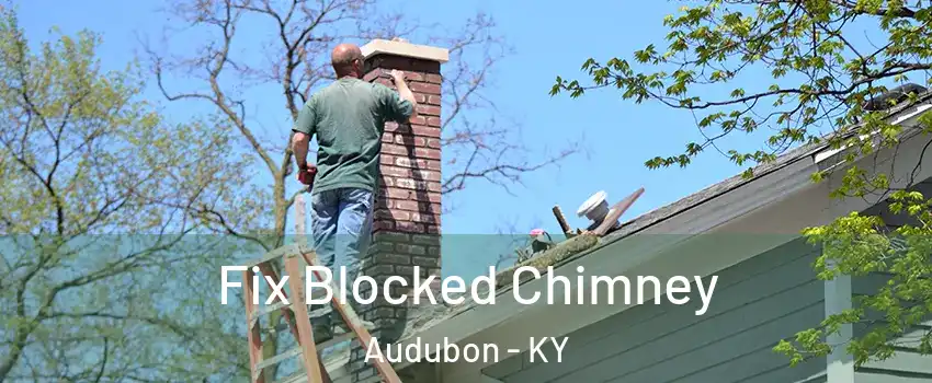 Fix Blocked Chimney Audubon - KY