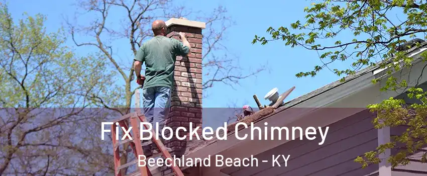 Fix Blocked Chimney Beechland Beach - KY