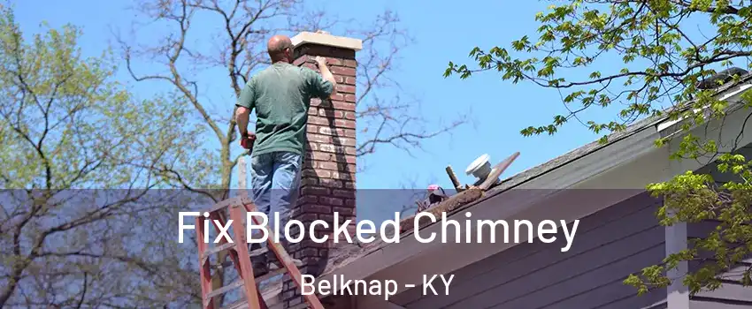 Fix Blocked Chimney Belknap - KY
