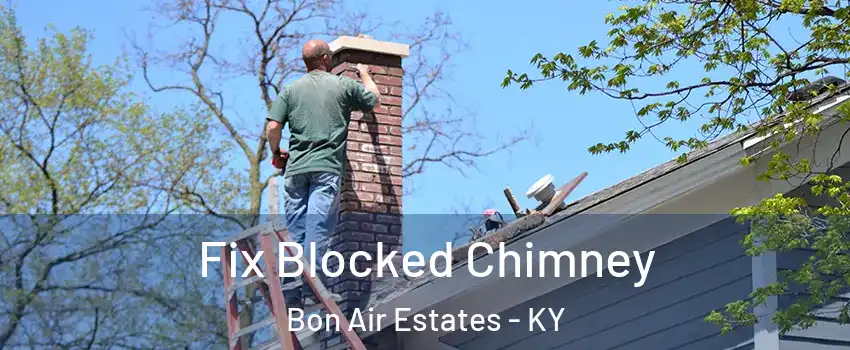 Fix Blocked Chimney Bon Air Estates - KY