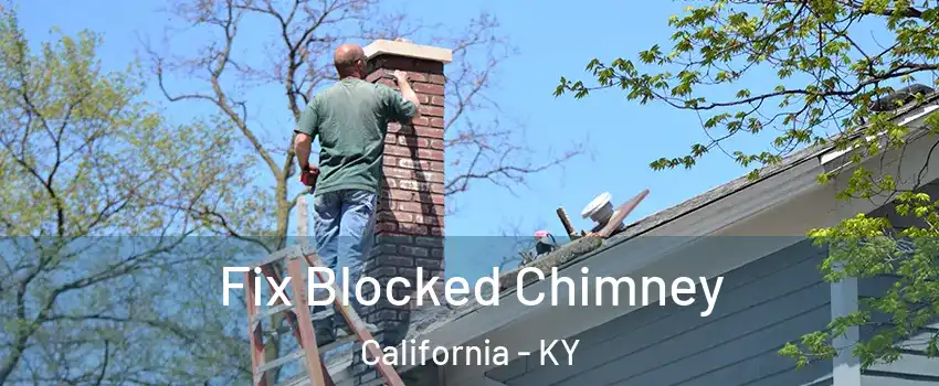 Fix Blocked Chimney California - KY