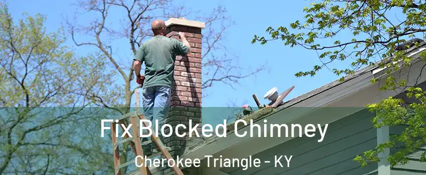 Fix Blocked Chimney Cherokee Triangle - KY