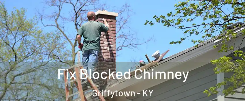 Fix Blocked Chimney Griffytown - KY