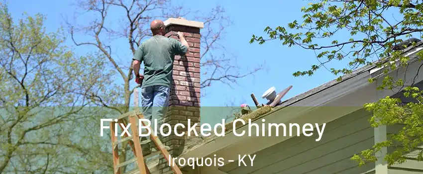Fix Blocked Chimney Iroquois - KY