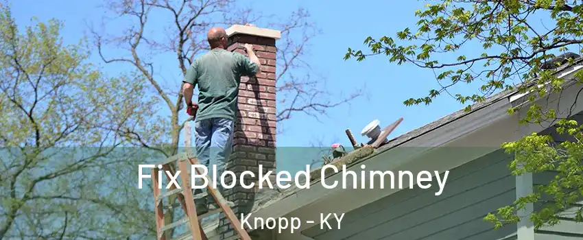 Fix Blocked Chimney Knopp - KY