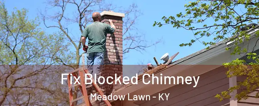 Fix Blocked Chimney Meadow Lawn - KY