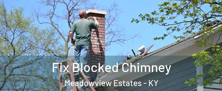 Fix Blocked Chimney Meadowview Estates - KY