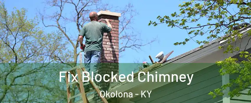 Fix Blocked Chimney Okolona - KY
