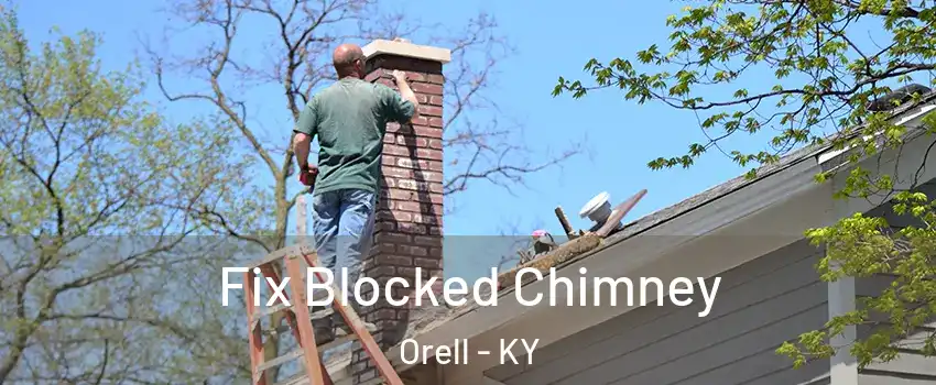 Fix Blocked Chimney Orell - KY