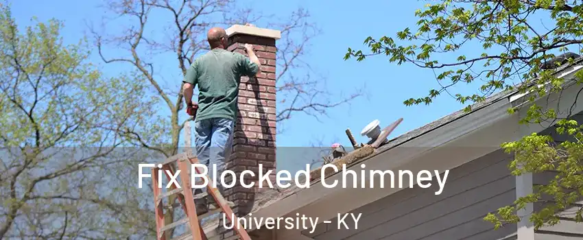 Fix Blocked Chimney University - KY