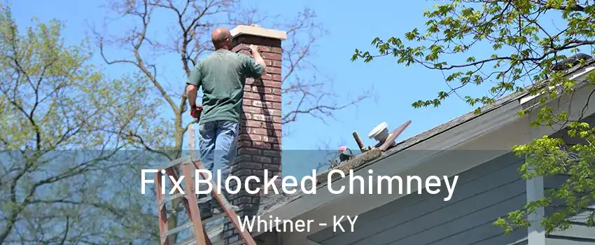 Fix Blocked Chimney Whitner - KY