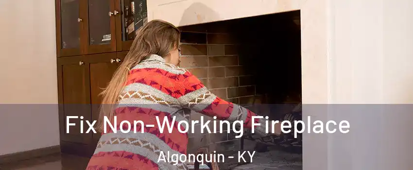 Fix Non-Working Fireplace Algonquin - KY