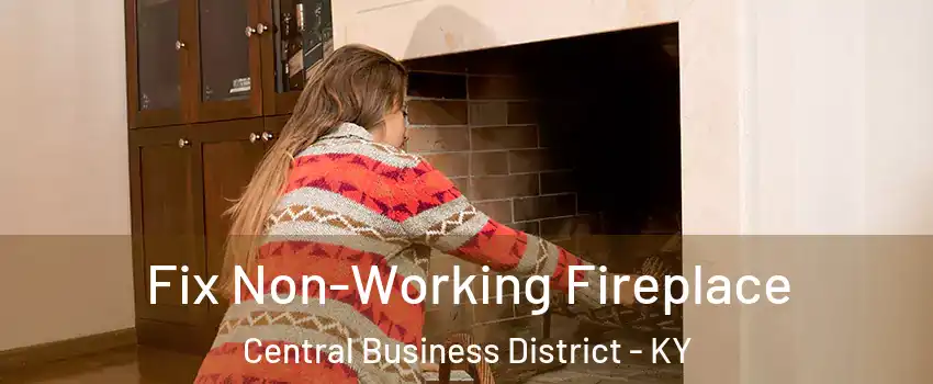 Fix Non-Working Fireplace Central Business District - KY