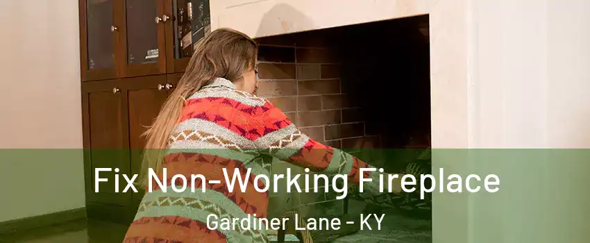 Fix Non-Working Fireplace Gardiner Lane - KY