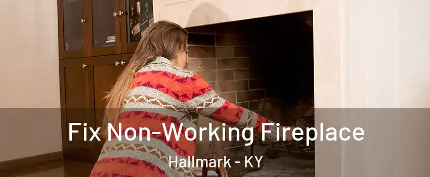 Fix Non-Working Fireplace Hallmark - KY