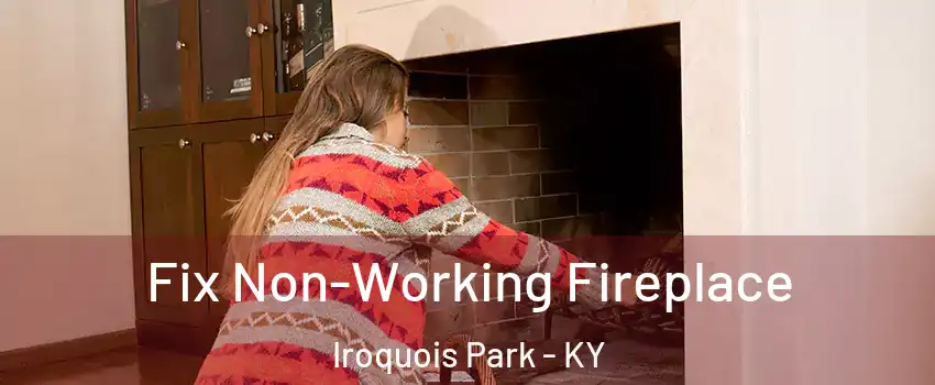 Fix Non-Working Fireplace Iroquois Park - KY