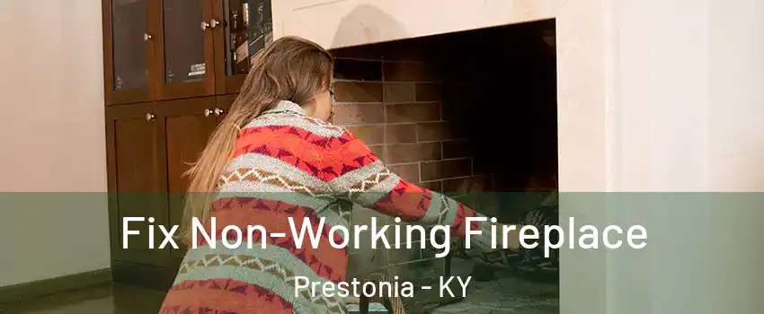 Fix Non-Working Fireplace Prestonia - KY