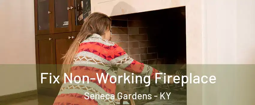 Fix Non-Working Fireplace Seneca Gardens - KY