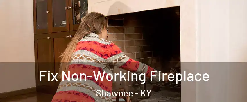Fix Non-Working Fireplace Shawnee - KY