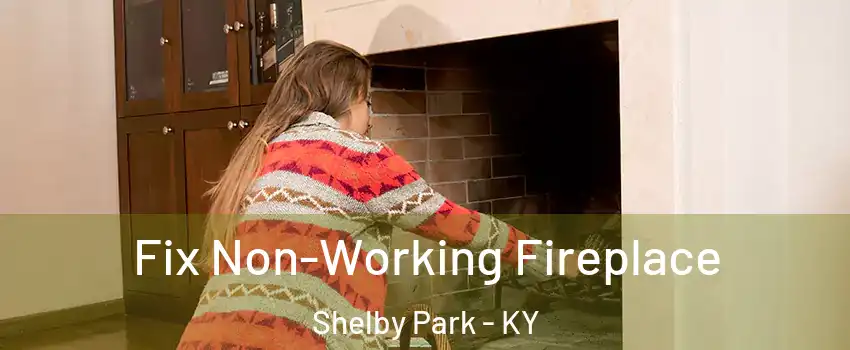 Fix Non-Working Fireplace Shelby Park - KY