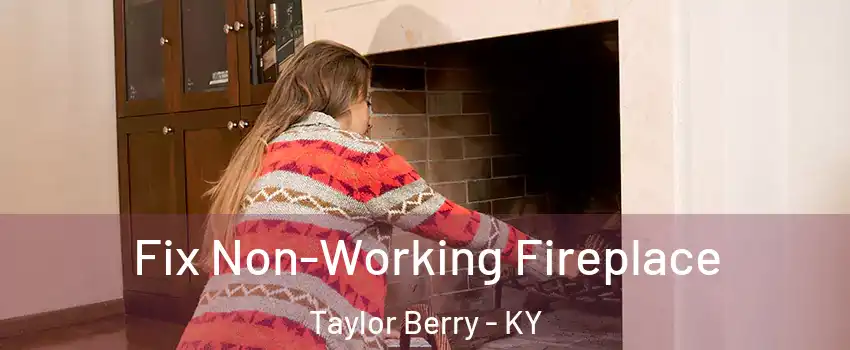Fix Non-Working Fireplace Taylor Berry - KY