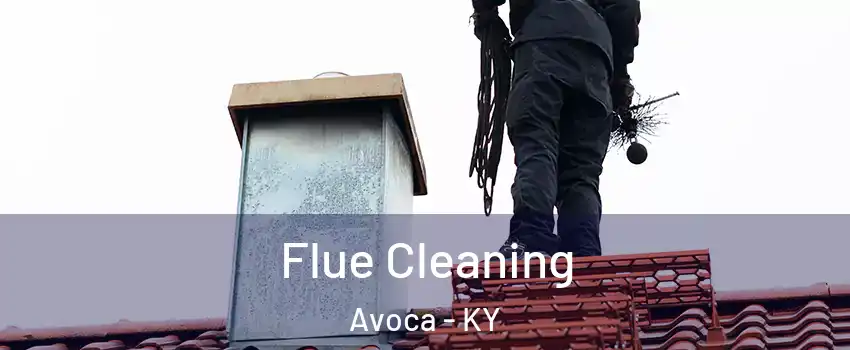Flue Cleaning Avoca - KY